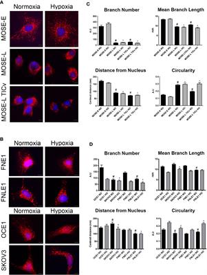 Progression-Mediated Changes in Mitochondrial Morphology Promotes Adaptation to Hypoxic Peritoneal Conditions in Serous Ovarian Cancer